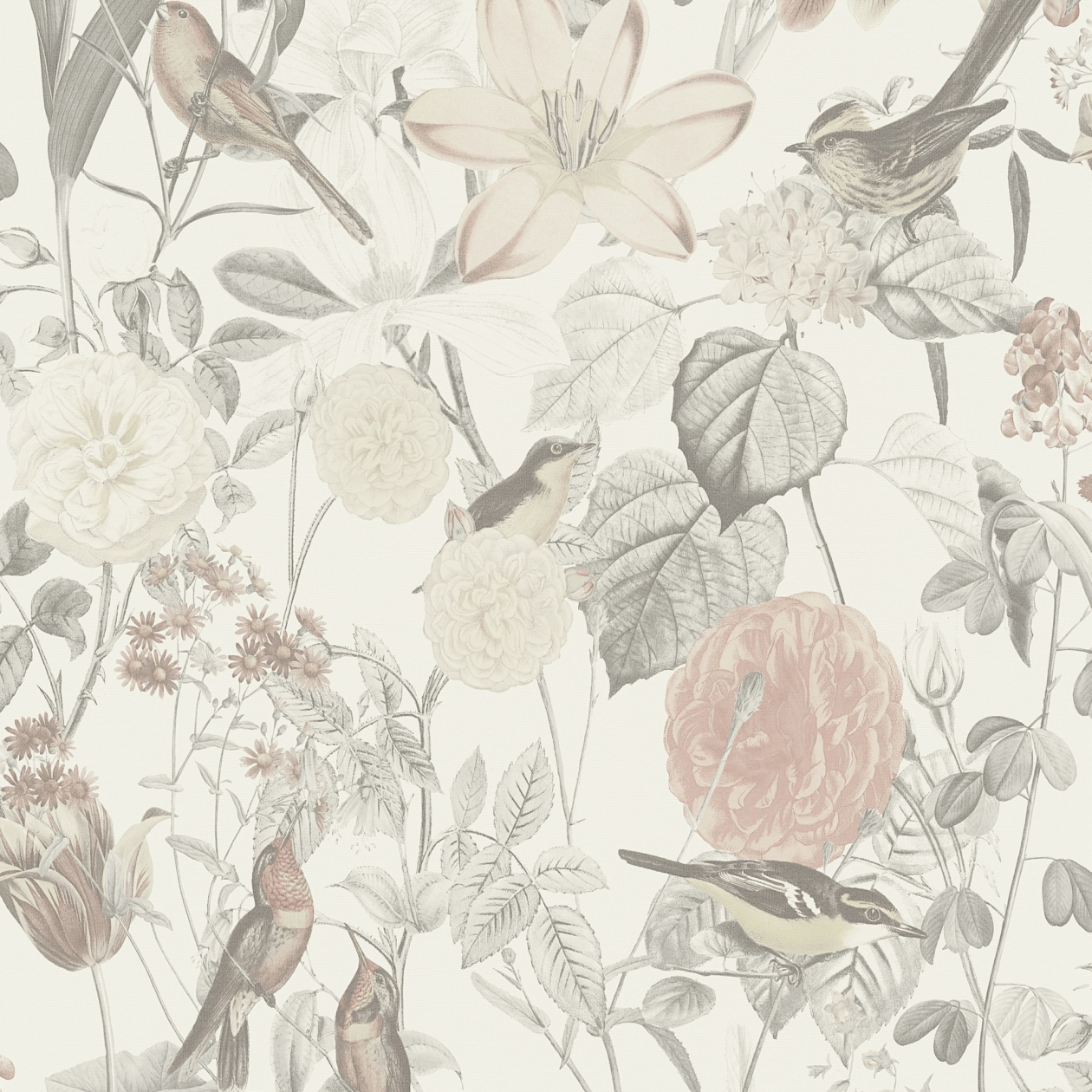 372762_haupt A.S. Creation Exotic Life | 372762 | papier peint intissé floral | 0.53 m x 10.05 m | gris