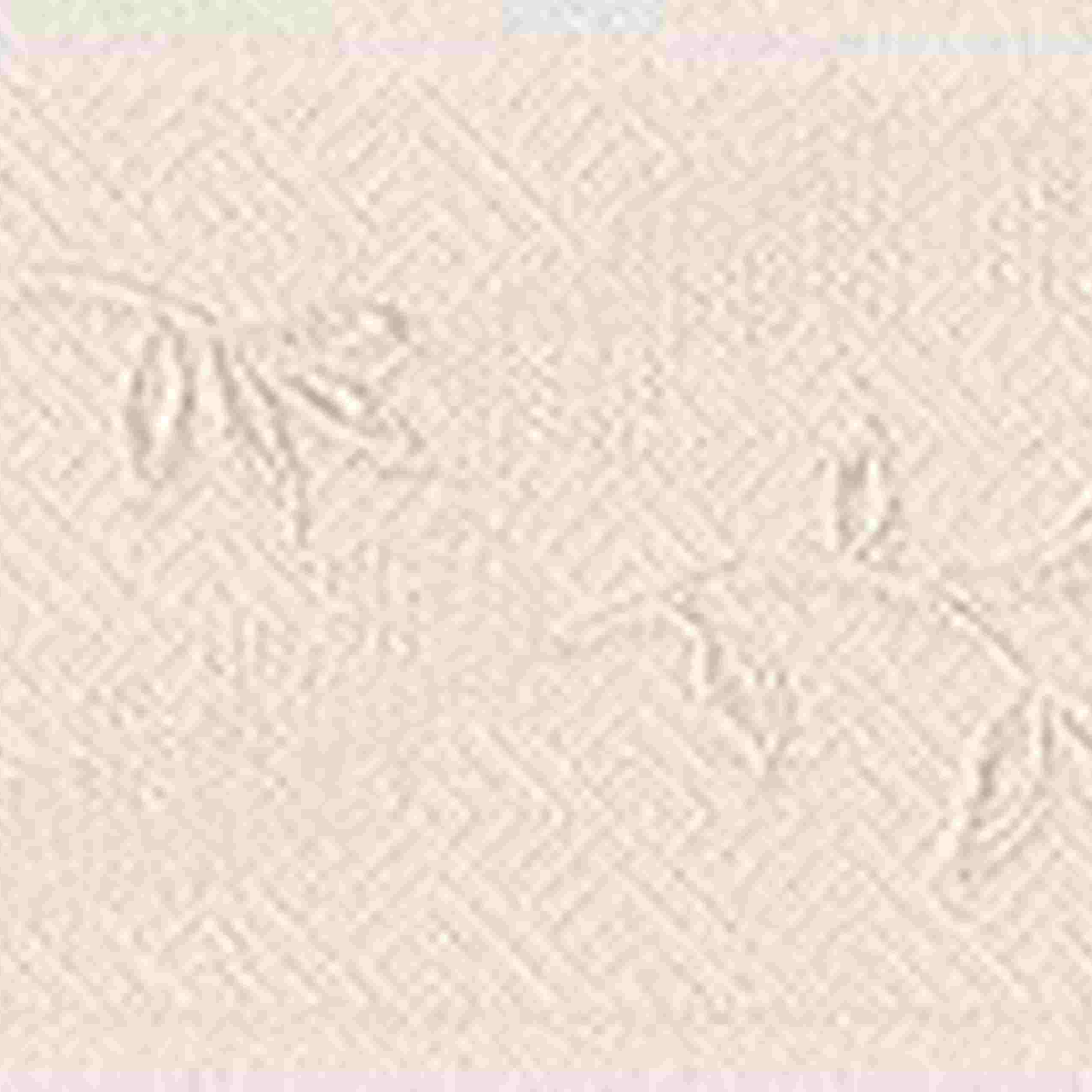 A.S. Creation Only Borders 9 | 303001 | frise murale adhésive | 0.05 m x 5 m | gris
