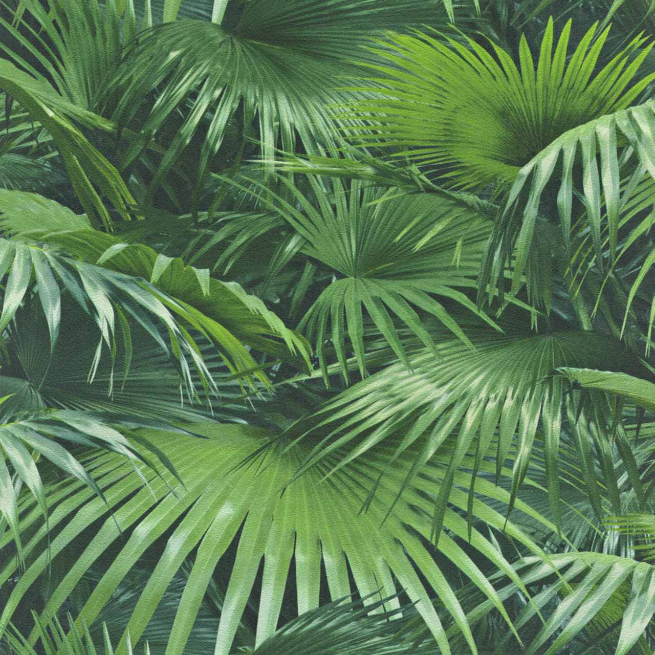 Rasch Crispy Paper | 524901 | papier peint intissé nature | 0.53 m x 10.05 m | vert