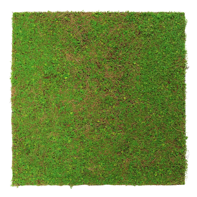 JANGAL Modular Wall Panneau Acoustique Mural 520 x 520 mm Noix de Coco Cert Clair Fibre naturelle