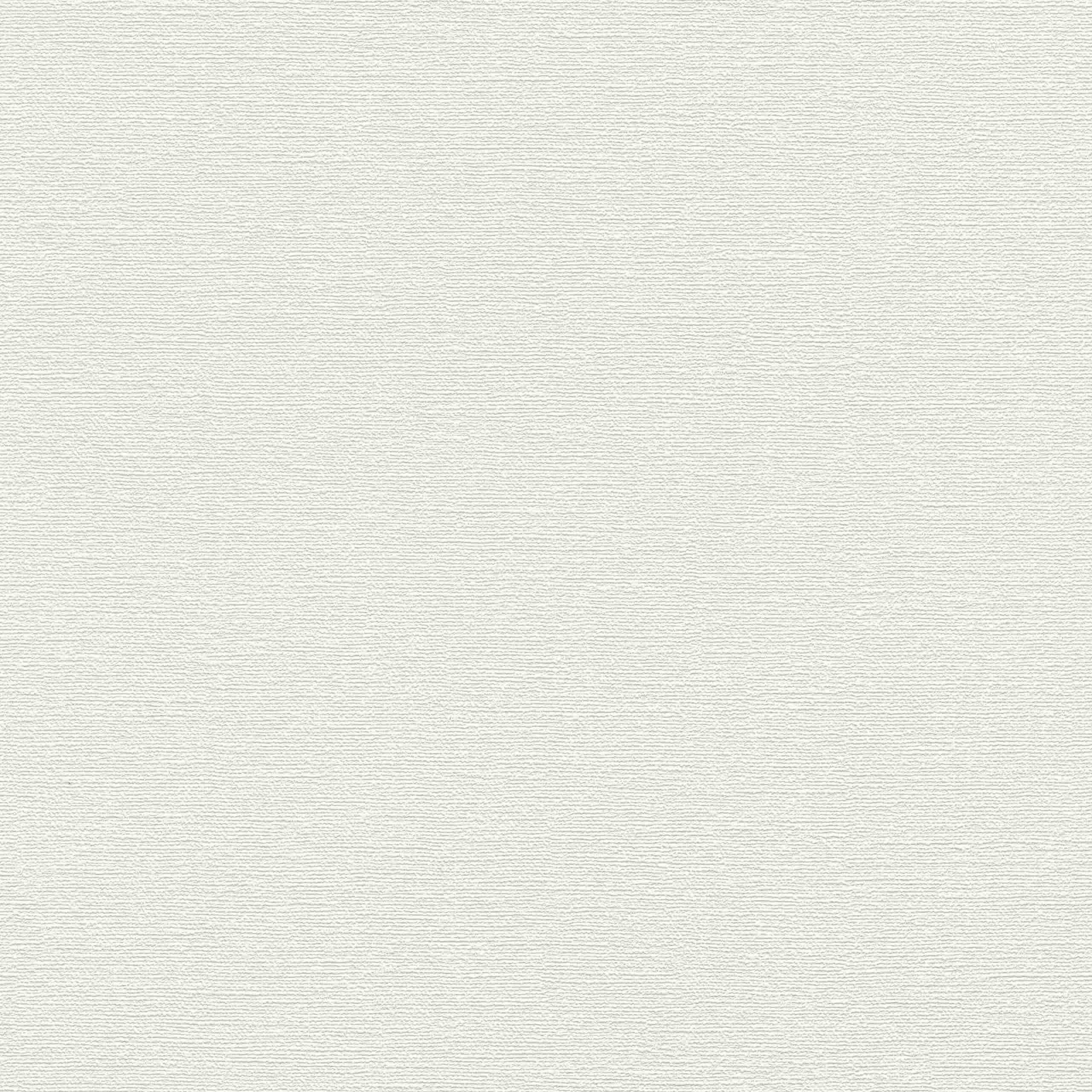 Rasch Unsere Besten 2022 | 804546 | papier peint intissé uni | 0.53 m x 10.05 m | blanc