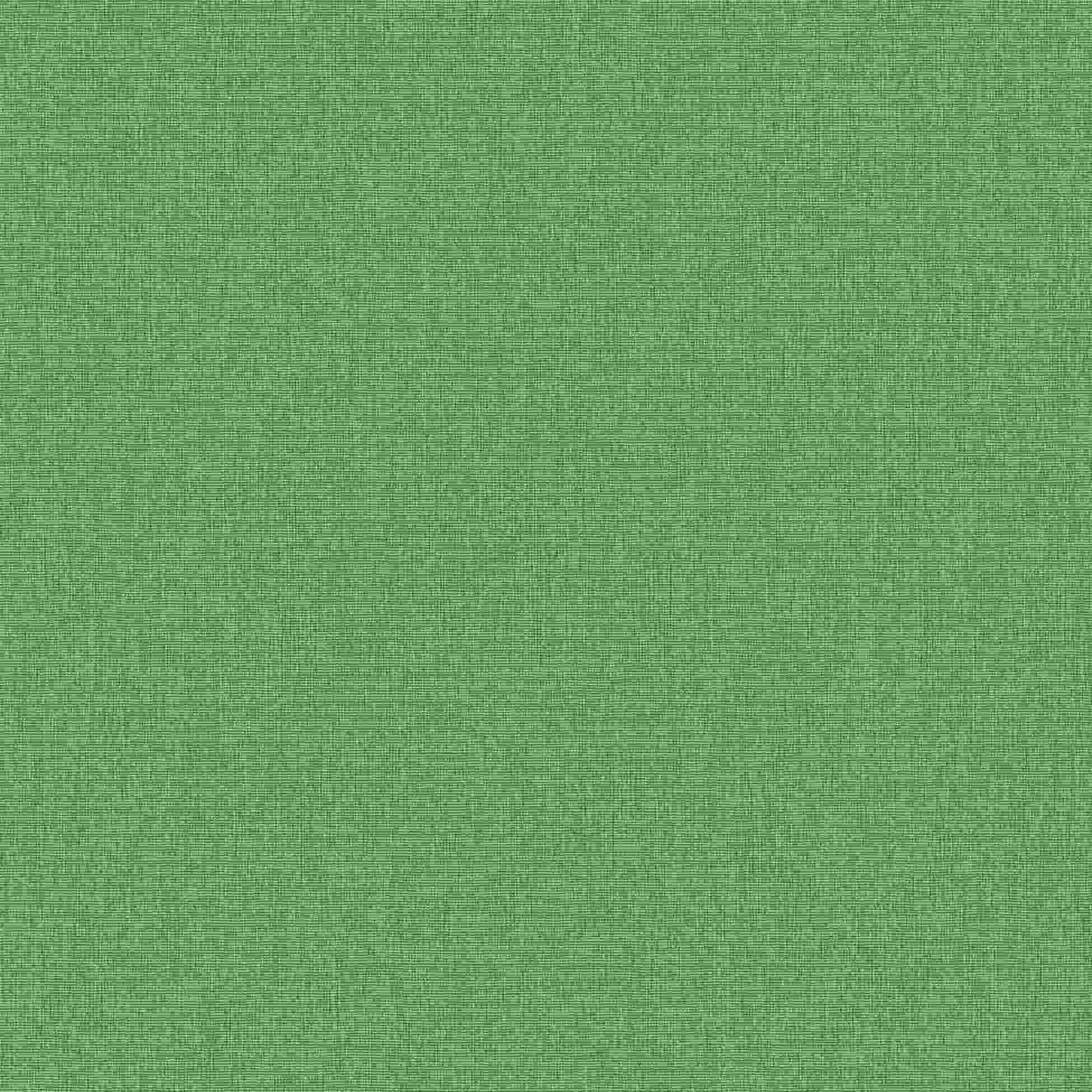 Erismann | Martinique | 10393-07 | Papier peint intissé | Uni / Unis | 0.53 x 10.05 m | Vert