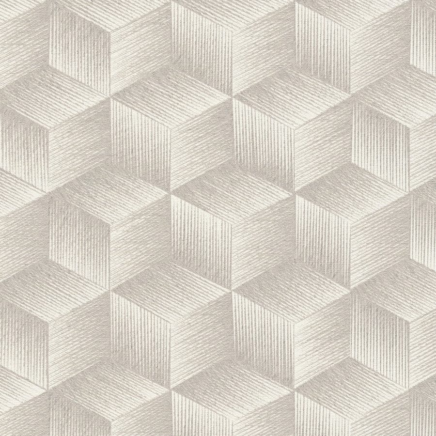 A.S. Creation | Natural Living | 385061 | Papier Peint Intissé | Effet 3D | 10.05 x 0.53 m | Gris