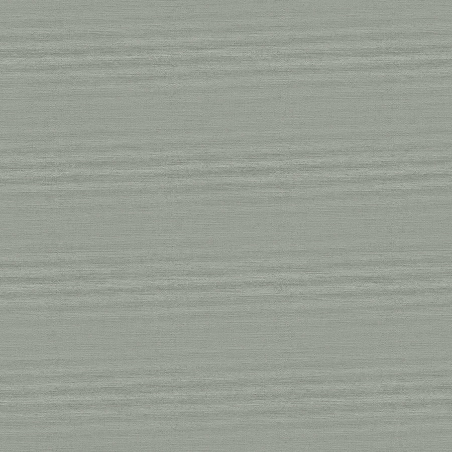 A.S. Creation | Antigua | 390976 | Papier Peint Intissé | Uni | 10.05 x 0.53 m | Vert