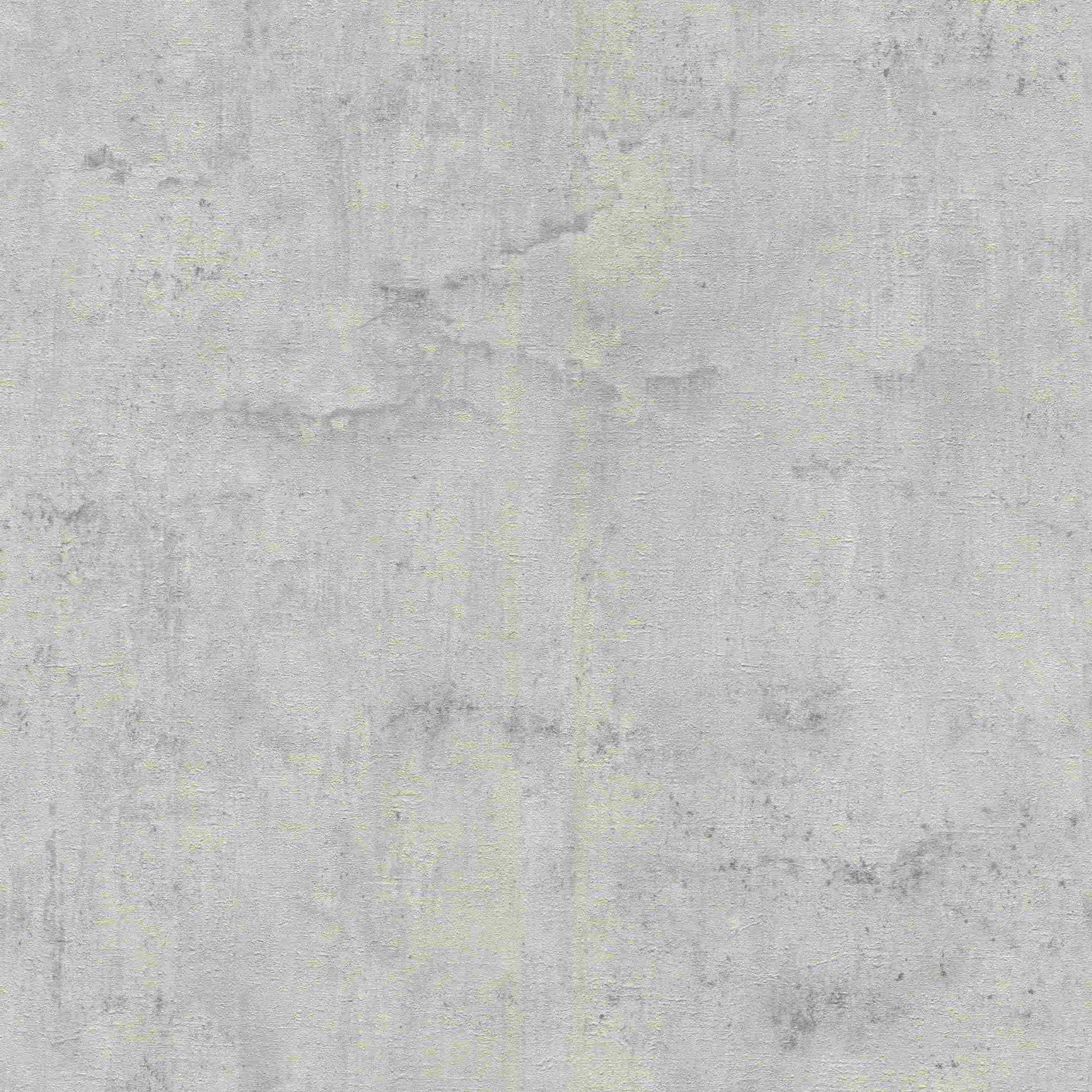 Rasch Unsere Besten 2022 | 407341 | papier peint intissé effet béton | 0.53 m x 10.05 m | gris