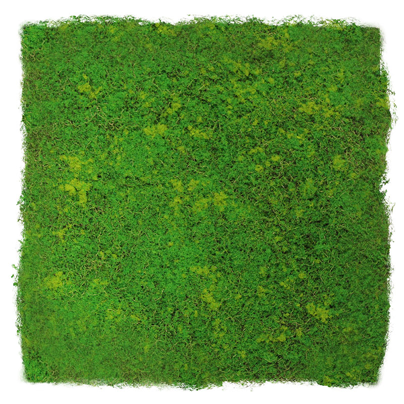 JANGAL Modular Wall Panneau Acoustique Mural 520 x 520 mm Mousse Vert Pâle à Fibres Panneau végétal