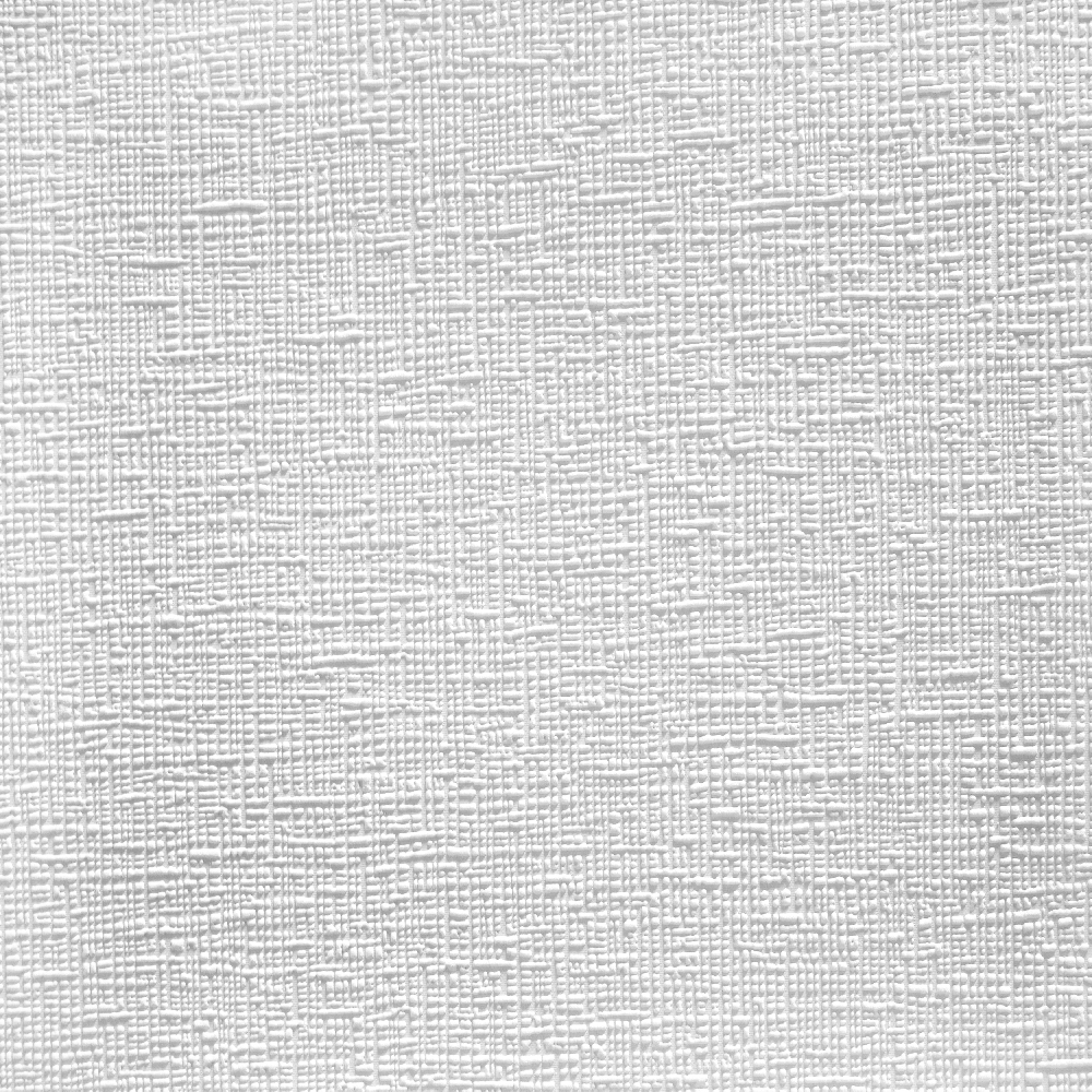 A.S. Creation Meistervlies | 251213 | papier peint intissé à rayures | 0.53 m x 10.05 m | blanc