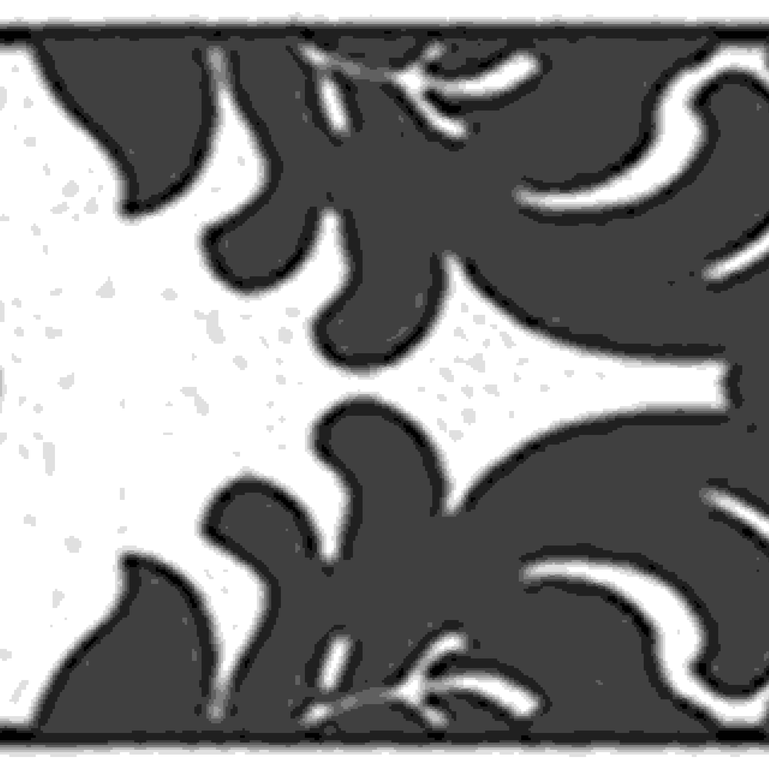 A.S. Creation Only Borders 9 | 962141 | frise en papier peint intissé | 0.05 m x 5 m | noir