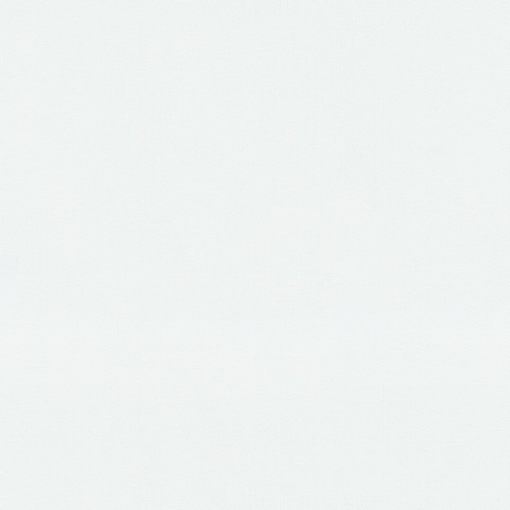 Erismann Fashion for walls | 1000401 | papier peint intissé uni | 0.53 m x 10.05 m | blanc