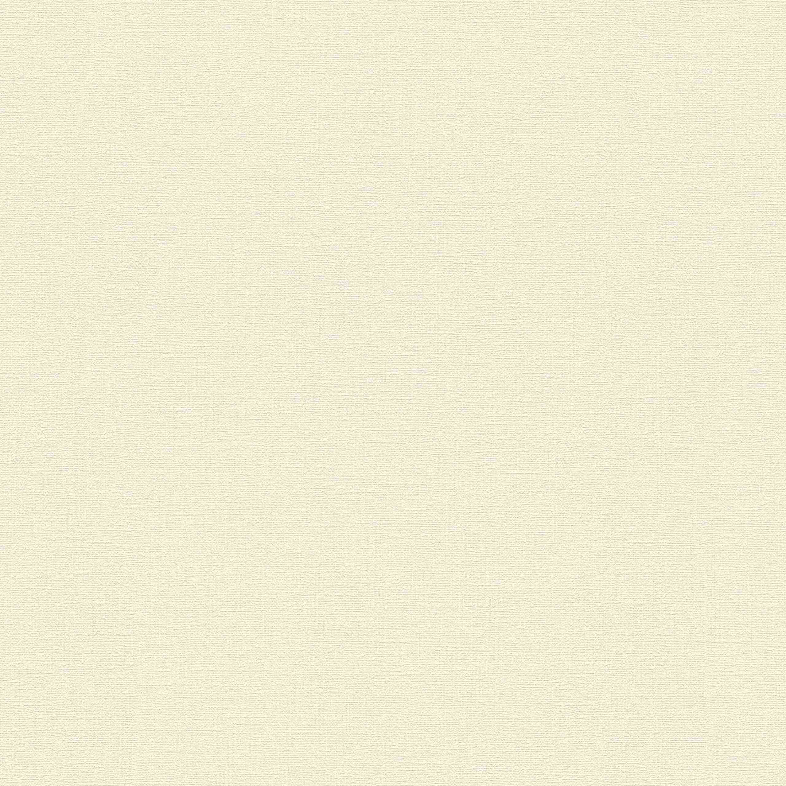 A.S. Creation Designbook | 336096 | papier peint intissé uni | 0.53 m x 10.05 m | écru