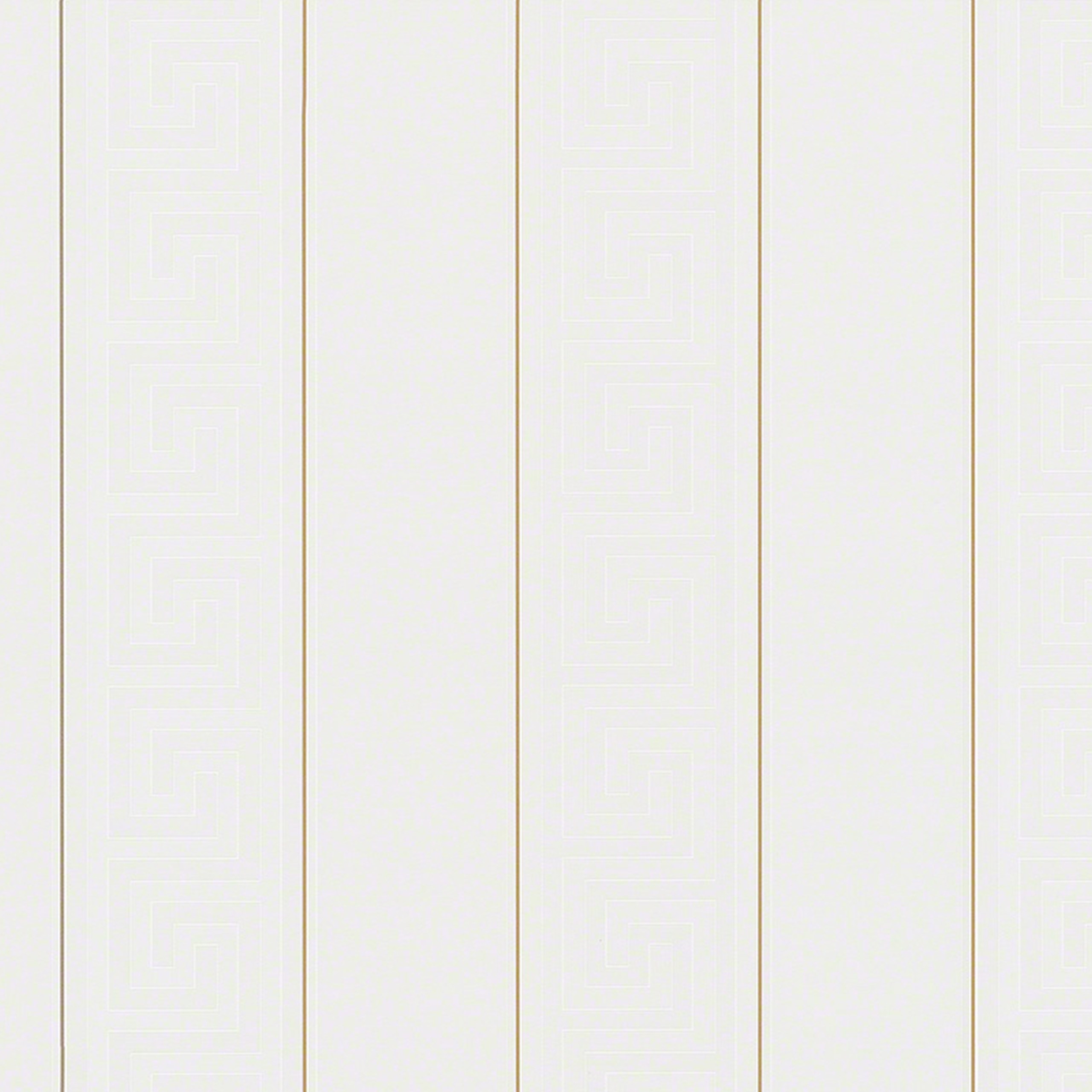 A.S. Creation Versace | 935241 | papier peint intissé dessins & motifs | 0.70 m x 10.05 m | argent