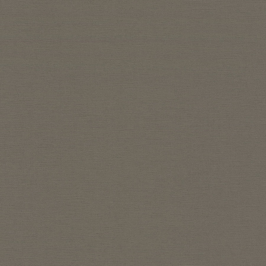 A.S. Creation | Antigua | 390977 | Papier Peint Intissé | Uni | 10.05 x 0.53 m | Beige