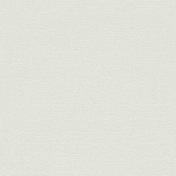 Rasch Unsere Besten 2022 | 732351 | papier peint intissé uni | 0.53 m x 10.05 m | gris