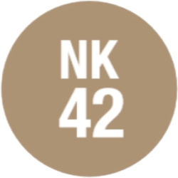 Icon_Boden_nk42_braun
