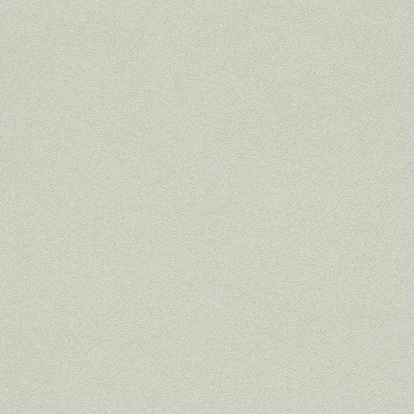 Rasch Wall Textures 2020 Vol. IV | 479430 | papier peint intissé uni | 0.53 m x 10.05 m | gris